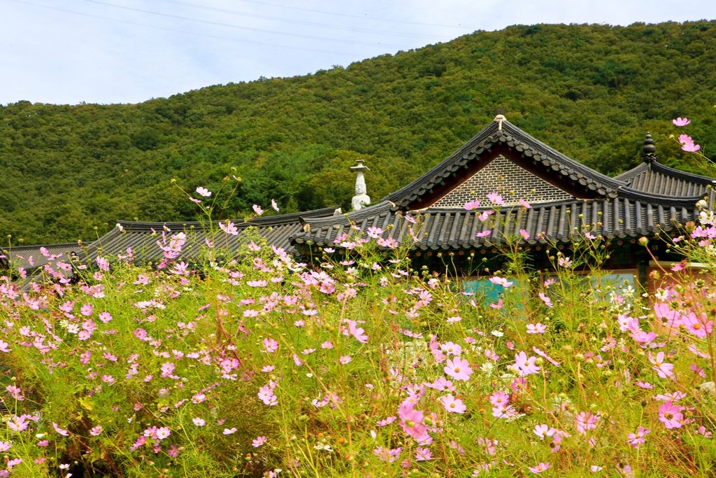 5K5A9600-20201007.jpg : 만의사