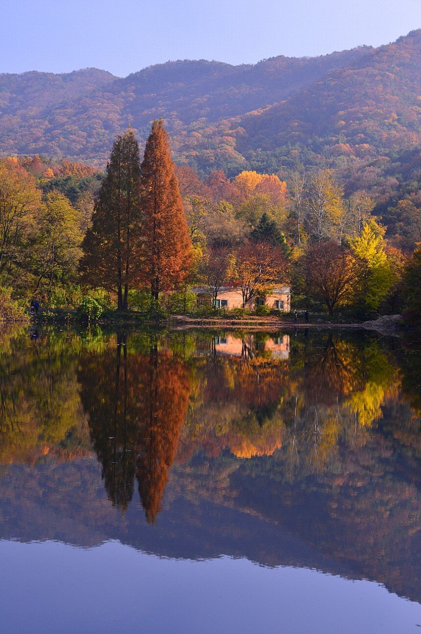 BandPhoto_10769510836.jpg : 송곡소류지