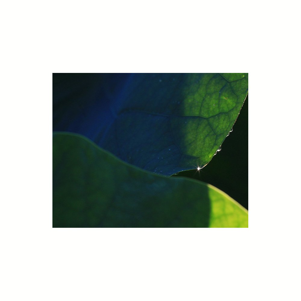 IMG_6279-77.jpg : 내고향...