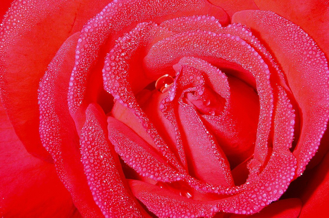 BandPhoto_13589398777.jpg : 정모숙제1