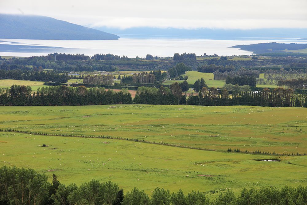 IMG_0069.jpg : 여행