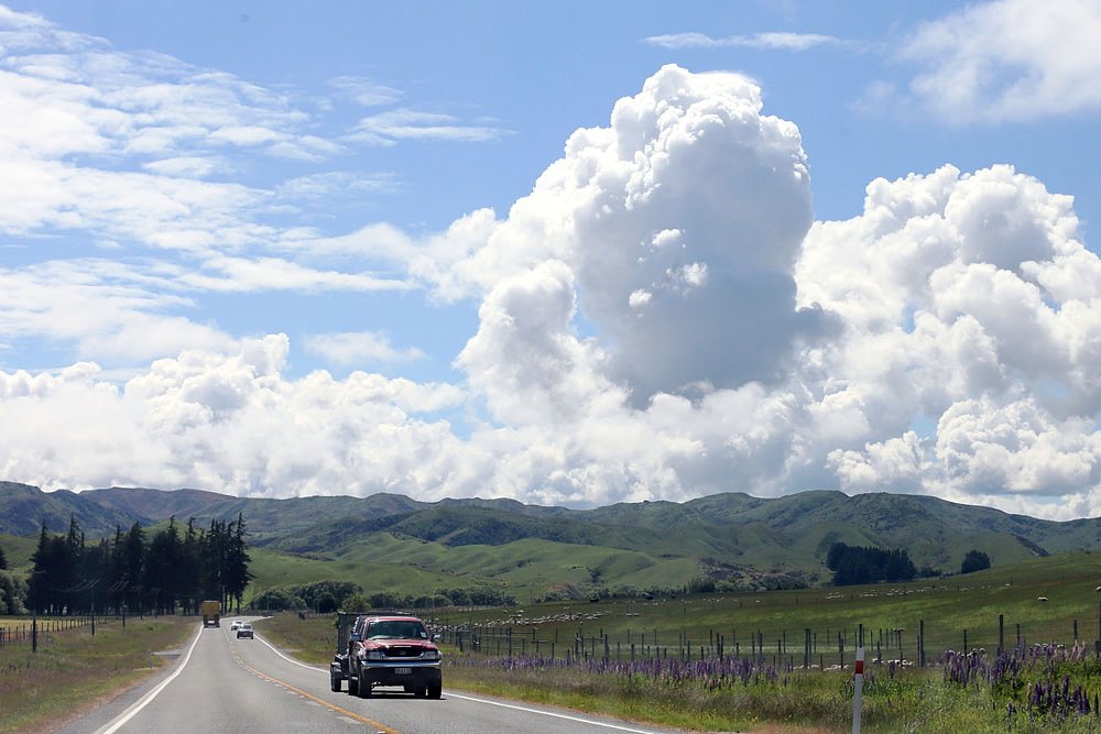 IMG_0110.jpg : 여행