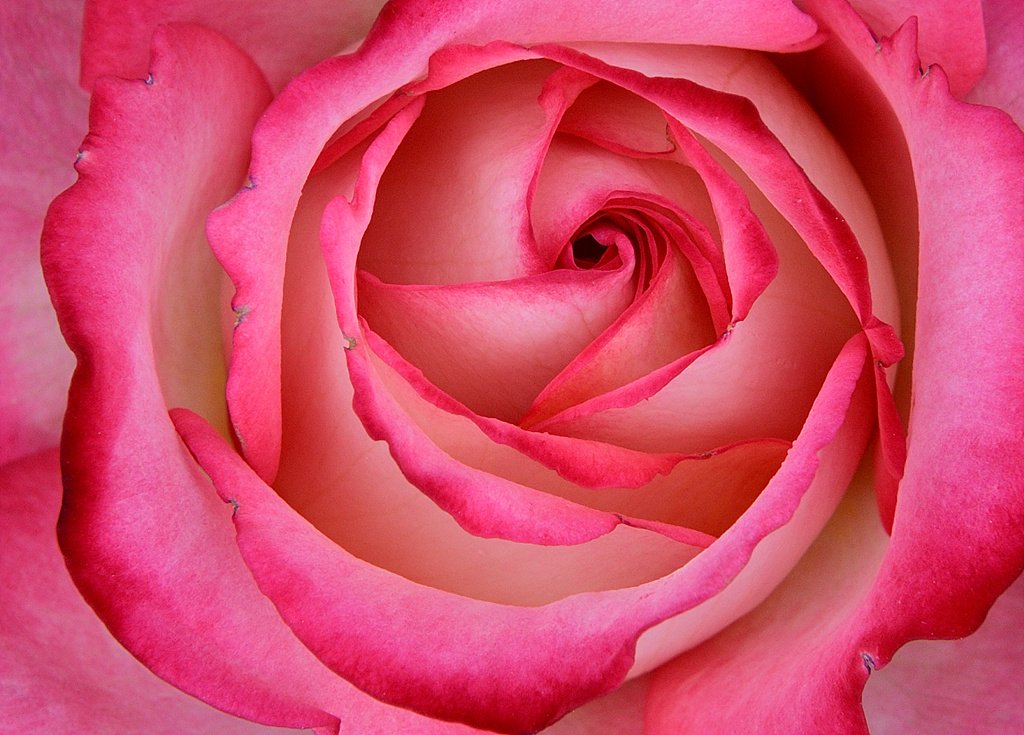 _DSC7704.jpg : 5월 정모에서~