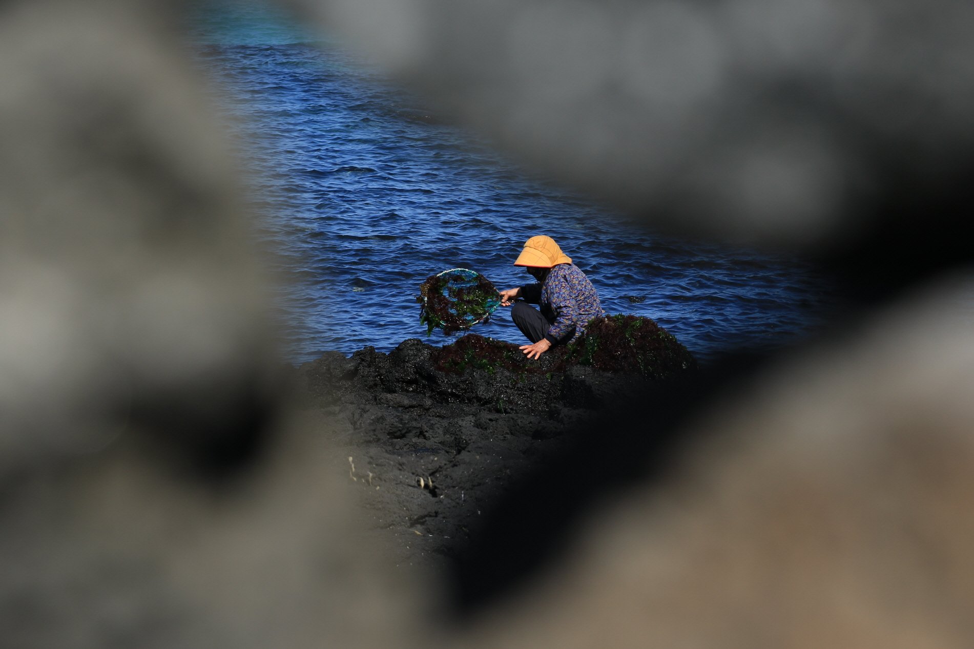 엿보기.JPG : 제주를  보다,