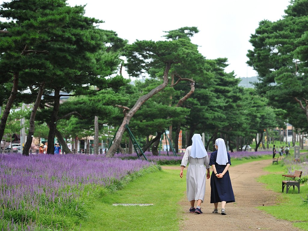 _DSC7838_00001.jpg : 산책