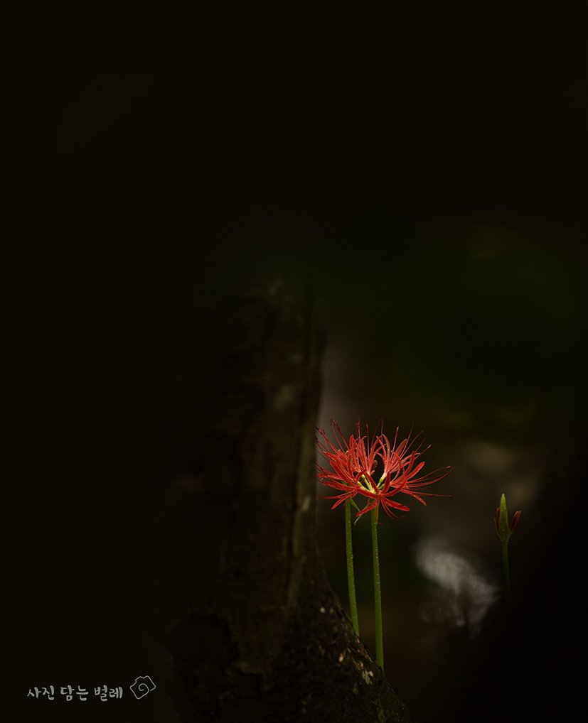 CE3A6296-2resize.jpg : 9월정모 숙제