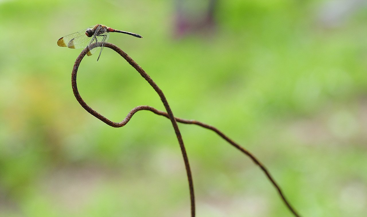 _DSC8455_00030.jpg : 휴식