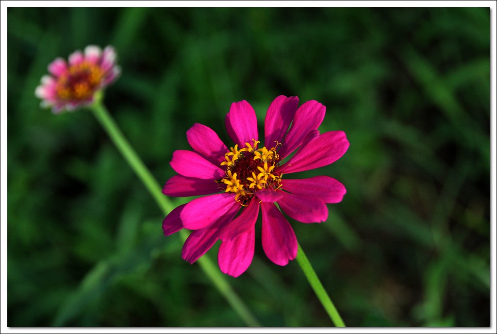 DSC_3981.jpg : 처음 올려보는 사진입니다