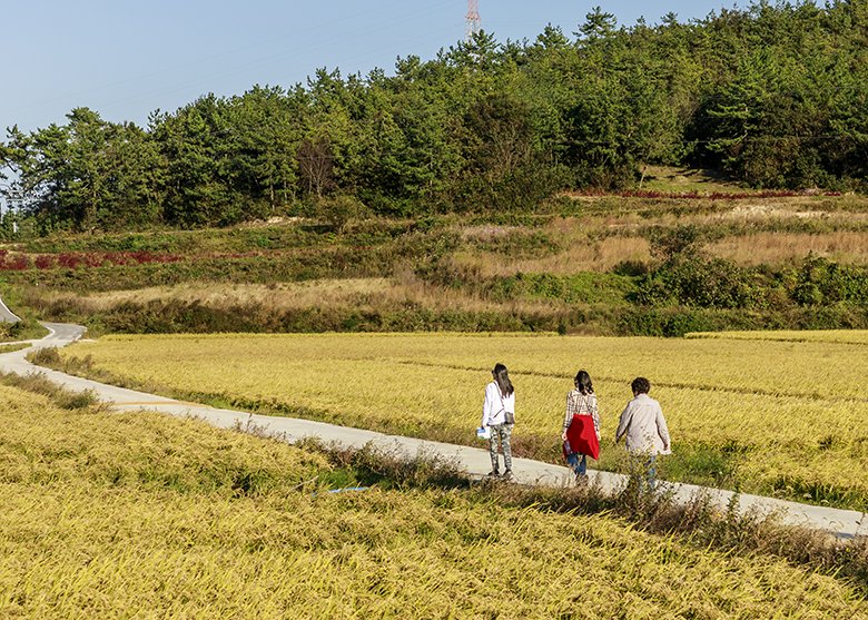 F69A6303 -5.jpg : 신안 소악도 마을