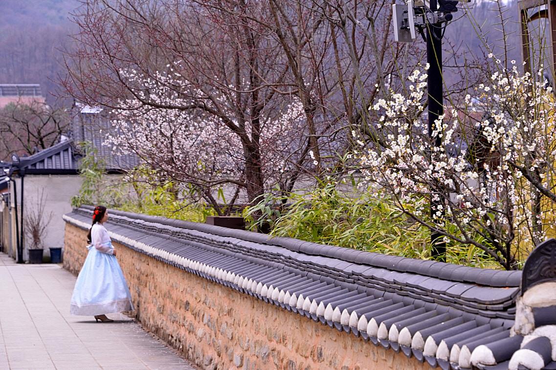 BandPhoto_5587708062.jpg : 전주 한옥마을