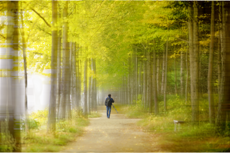 Photoroom-20241003_132038.png : 가을로