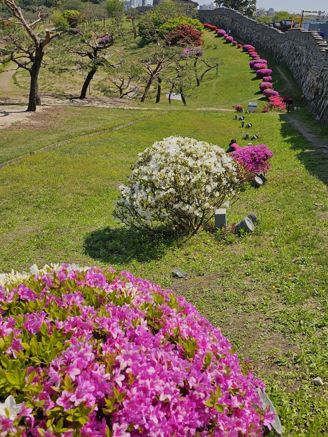 1745646919632-8.jpg : 방화수류정에서