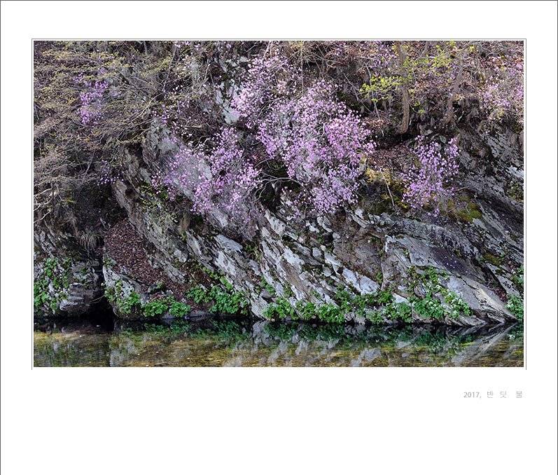 DSC_4487-1.jpg : 봄날에 ~