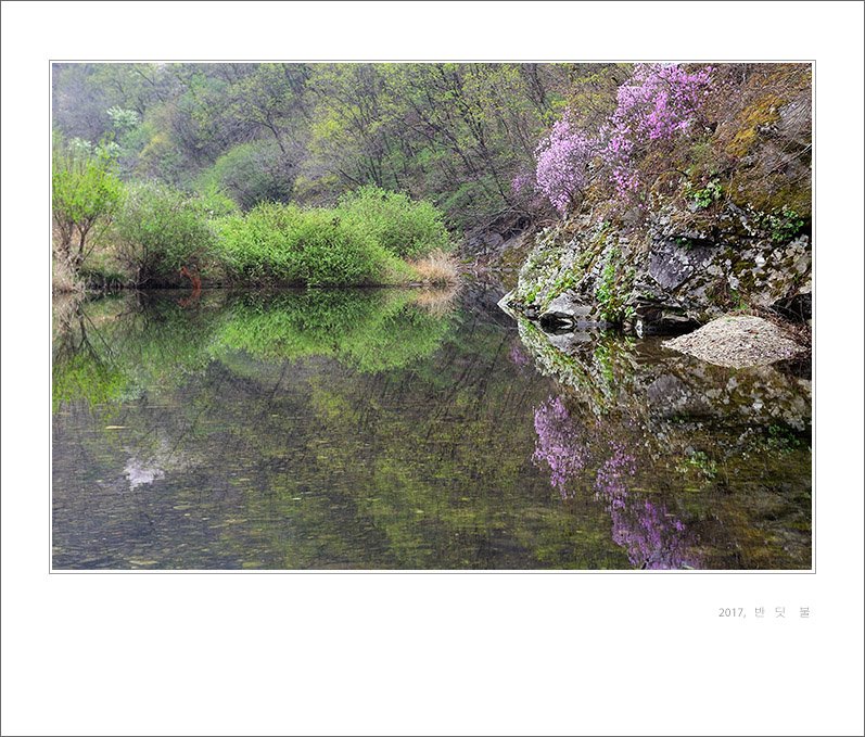 DSC_4175-1.jpg : 봄날에 ~