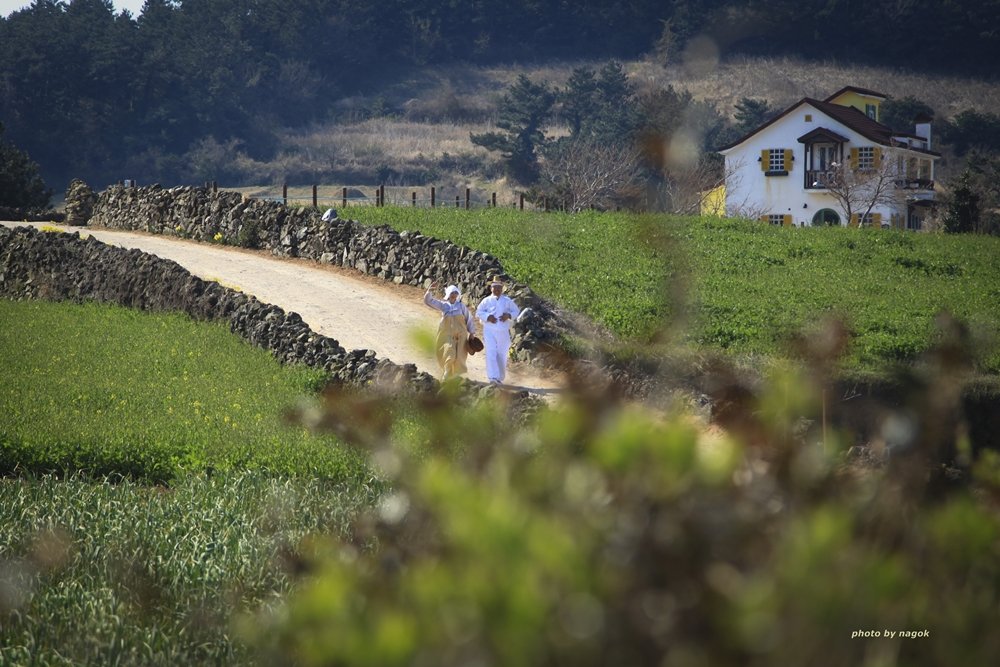 청산도 195.jpg : 청산도 회원님들