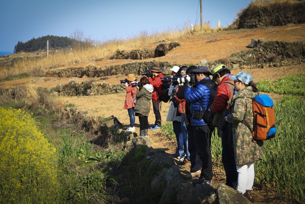 청산도 144.jpg : 청산도 회원님들