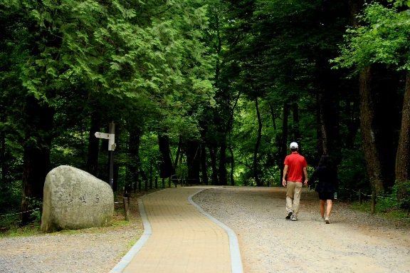 IMG_20240530_231653_723.jpg : 동행 IMG_20240530_231653_723.jpg : 동행