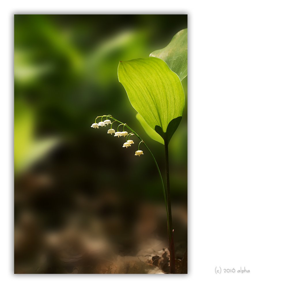 KWON4922r-1.4060.jpg : 번개인증
