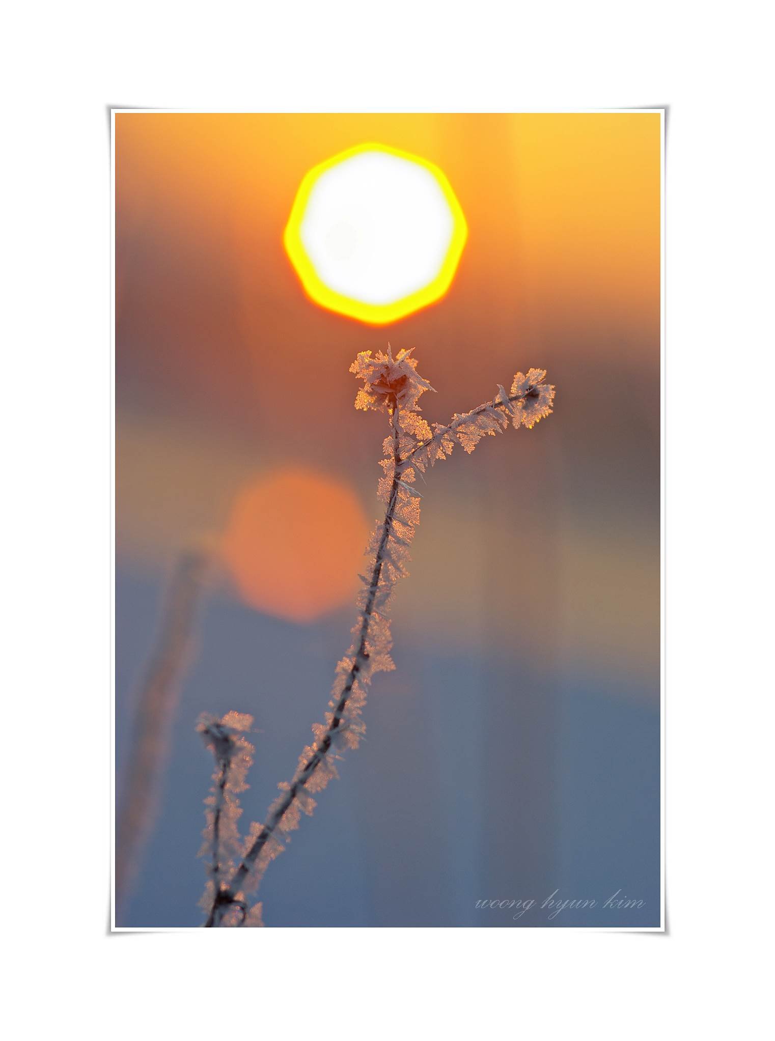 SG106903.JPG : 아침