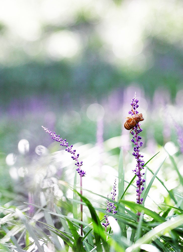 IMG_0036-.jpg : 8월 정모