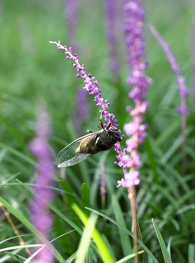 IMG_0020-.jpg : 8월 정모