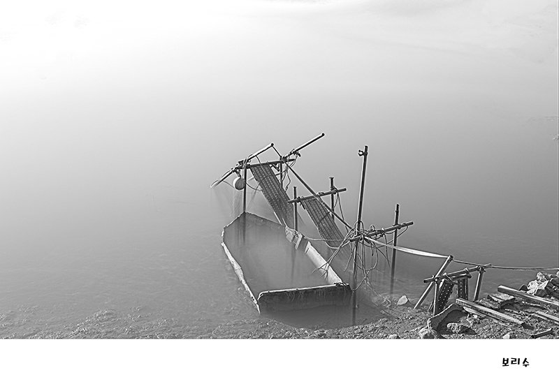 575A5090-1.jpg : 기다림^^