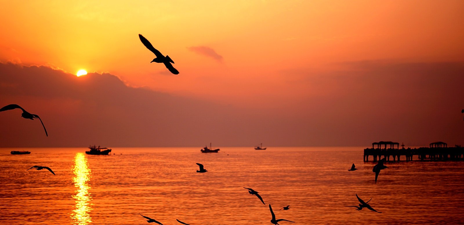 DSC07331.JPG : 아듀...16년을 궁평항에서.......