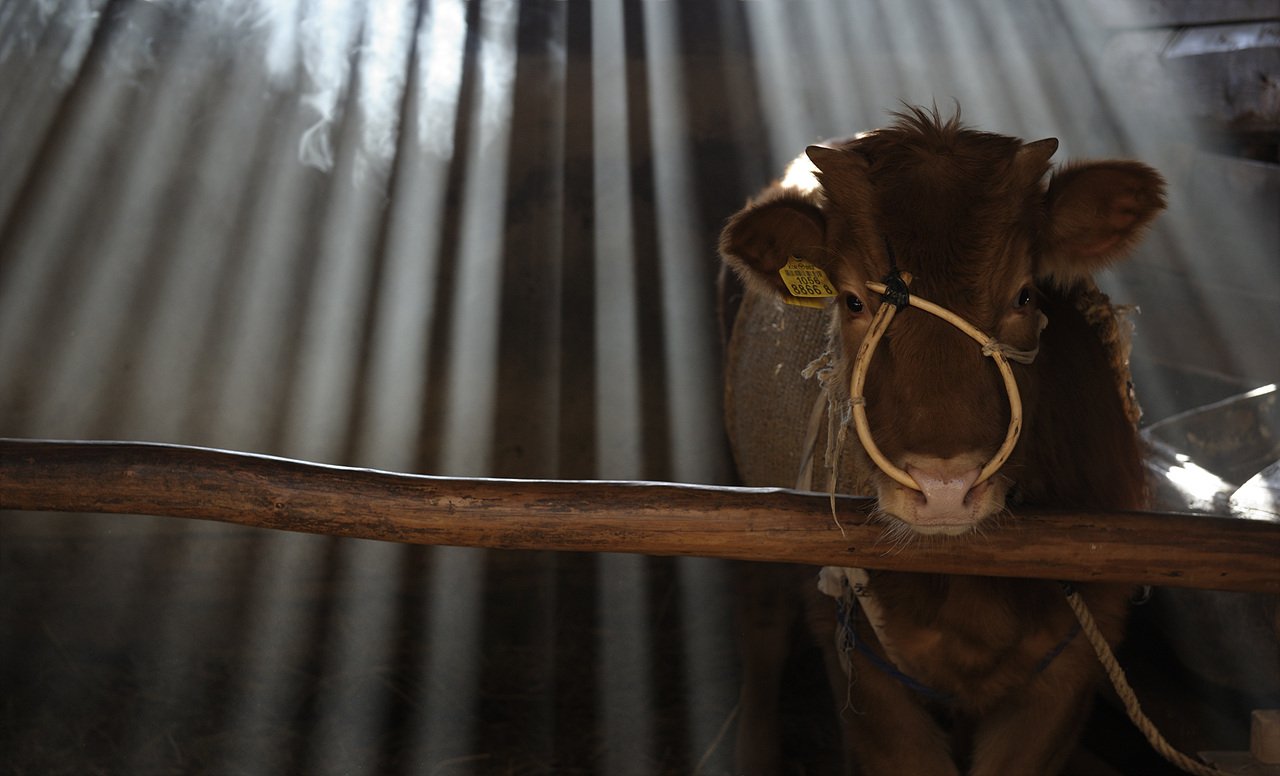 _DSC2024.jpg : 정모숙제-2