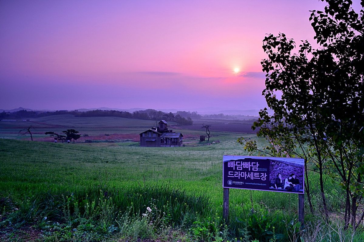 DSC_7441.JPG : 안성목장