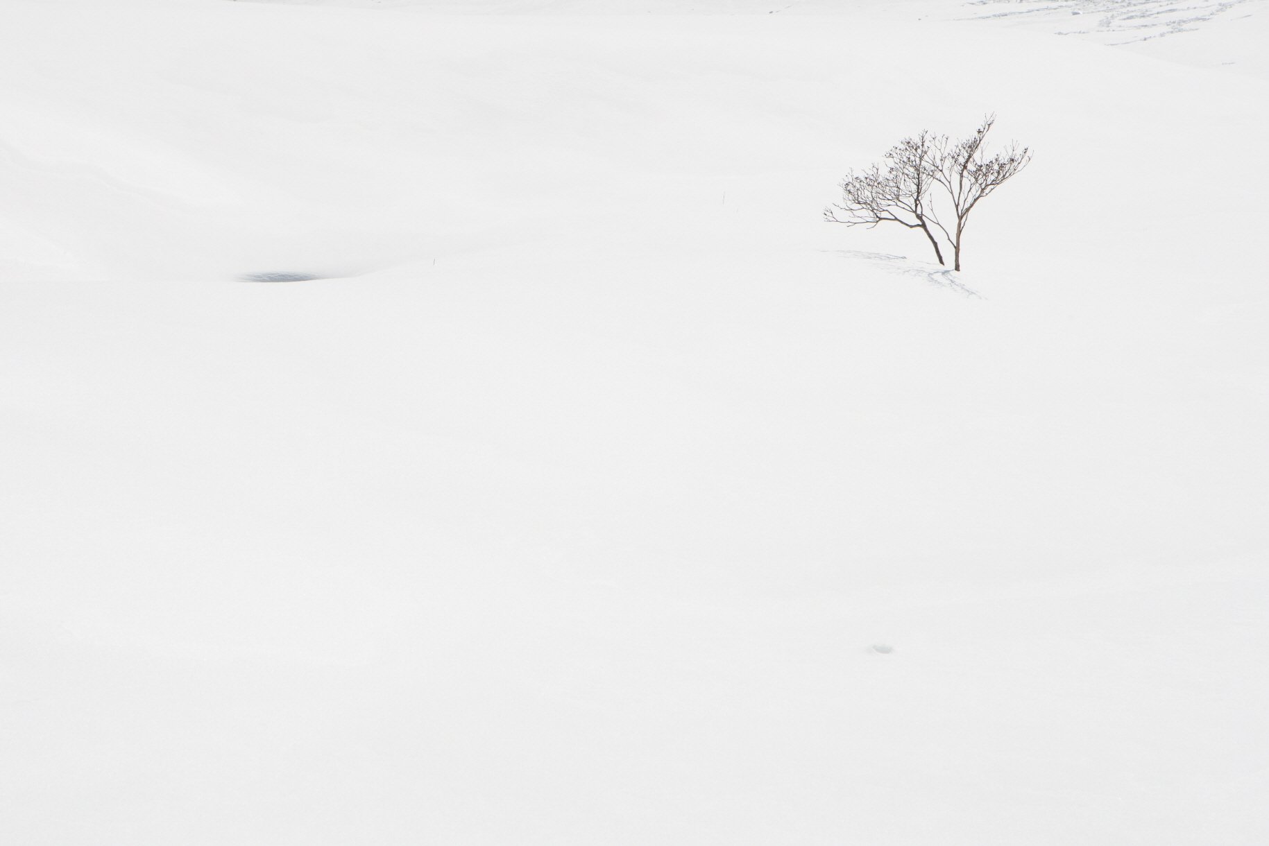 크기변환_6T6I7808.jpg : 3월에 보는 풍경