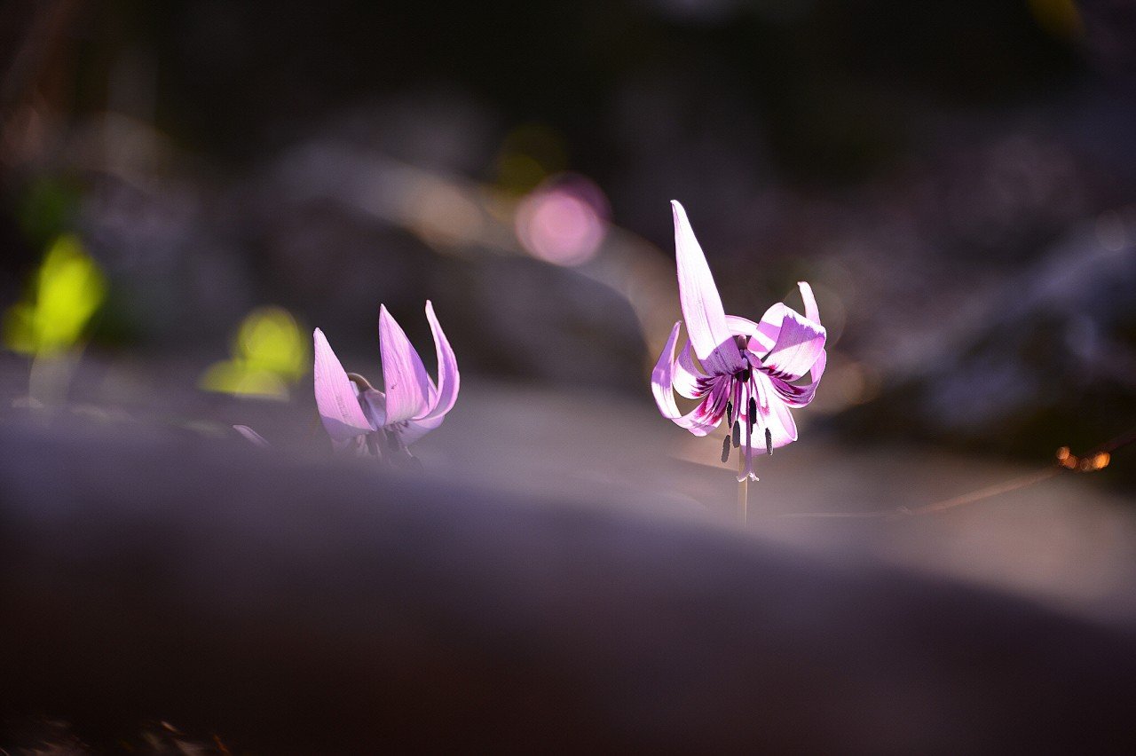 BandPhoto_12798682926.jpg : 세정사