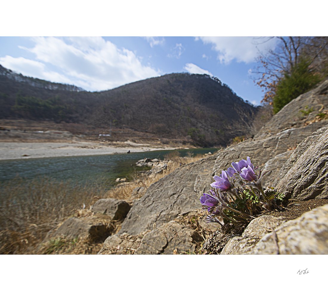 2m3a5210.jpg : 동강할매^^