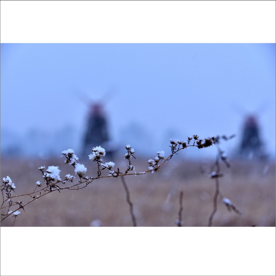 크기변환_DSC_1659.jpg : 처음 참석한 정모