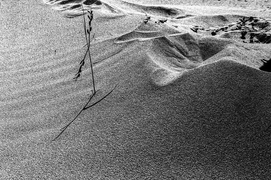 HVaxx,9A9693.jpg : 컴퍼지션