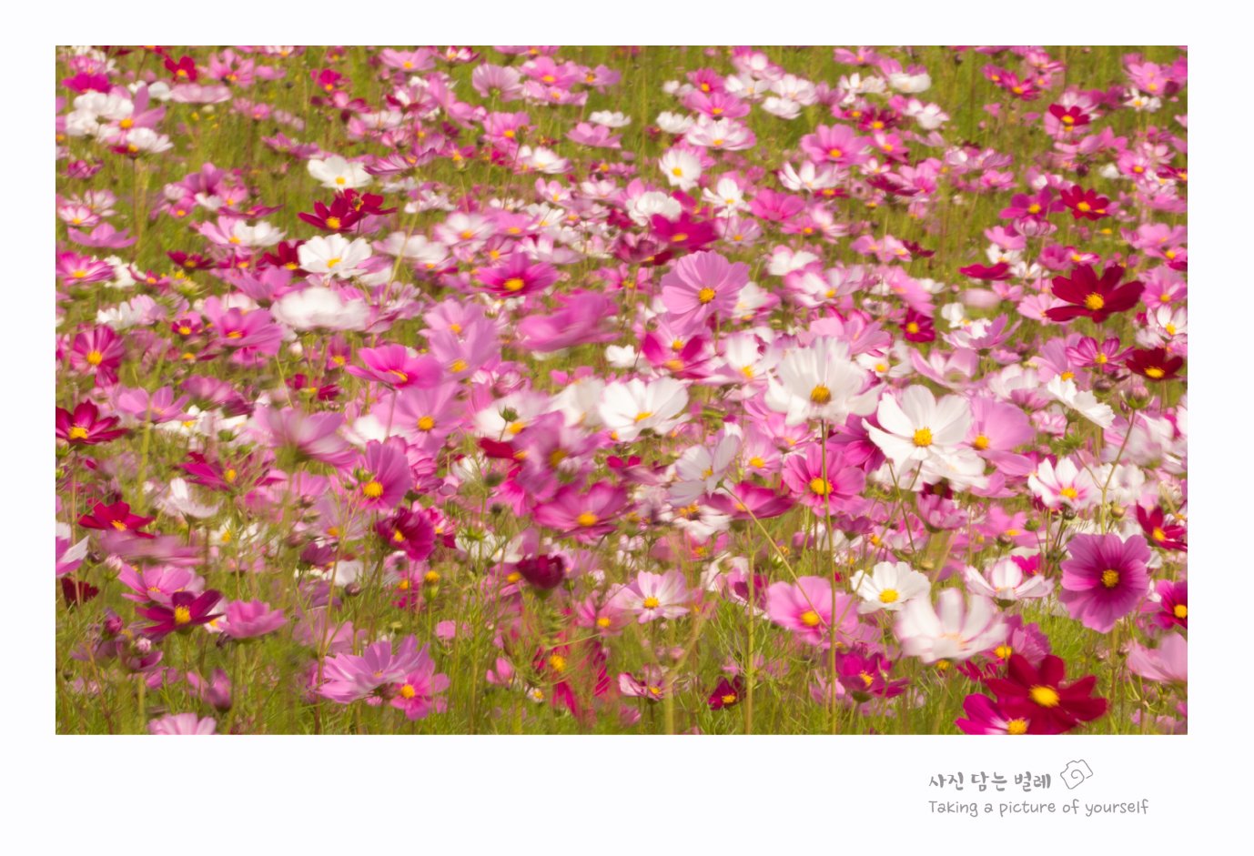 CE3A9292-1resize.jpg : 광교2