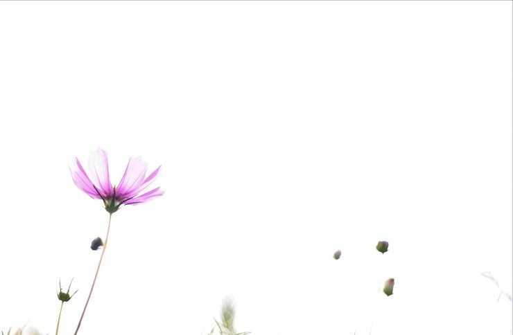 KakaoTalk_20180624_105131243.jpg : 당수동