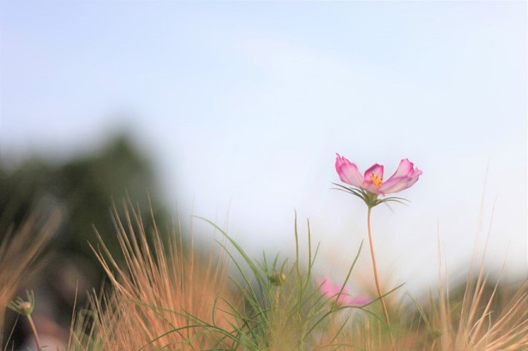 KakaoTalk_20180624_104805223.jpg : 당수동