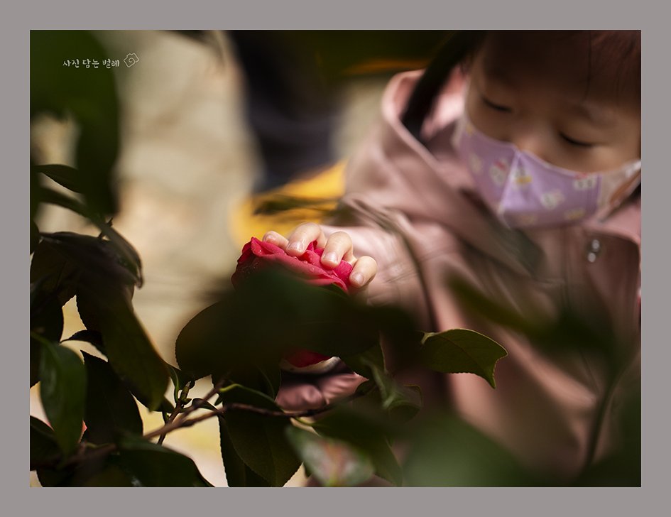 CE3A3780-2 resize.jpg : 교감