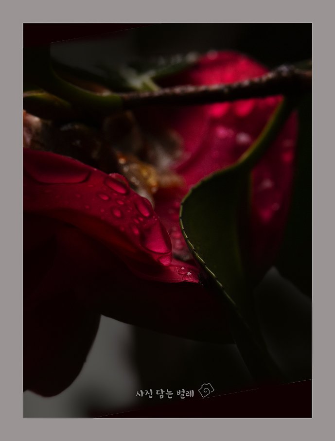 CE3A3755-4resize.jpg : 교감