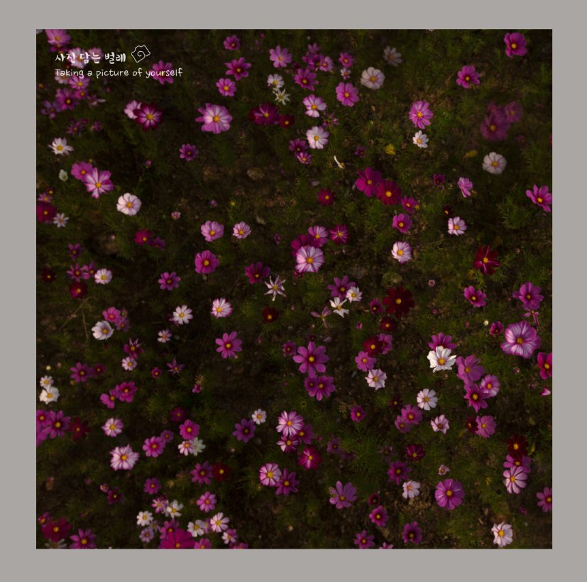 CE3A9553-1resize.jpg : 광교1