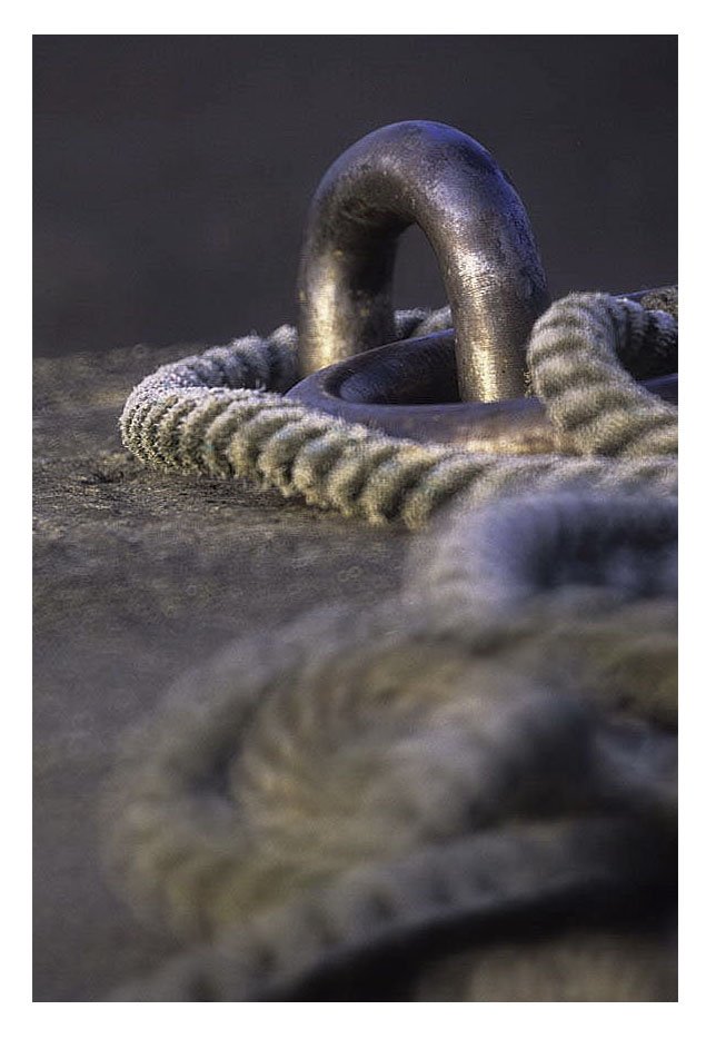 혈관.jpg : 혈관 혈관.jpg : 혈관