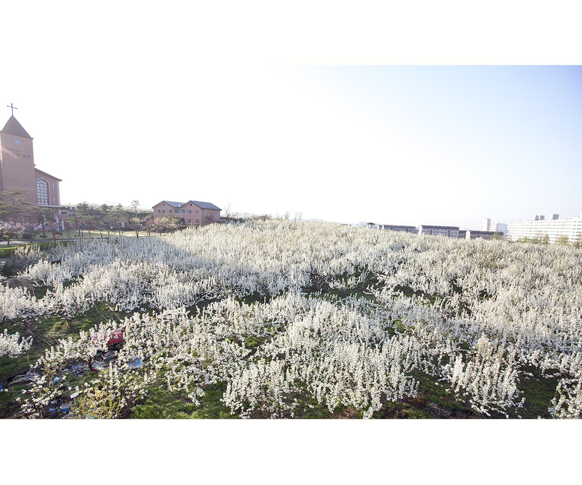 IMG_7054-1.jpg : good bye..