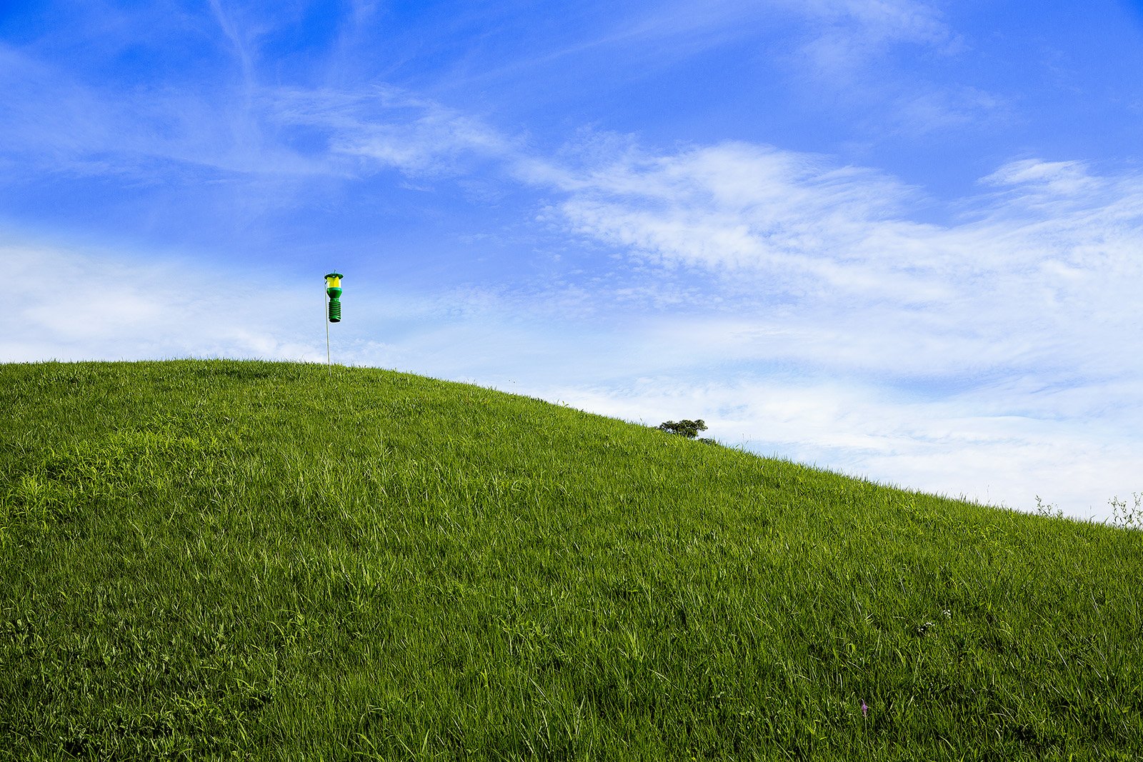 20190811-D55A0037-2.jpg : 파란하늘