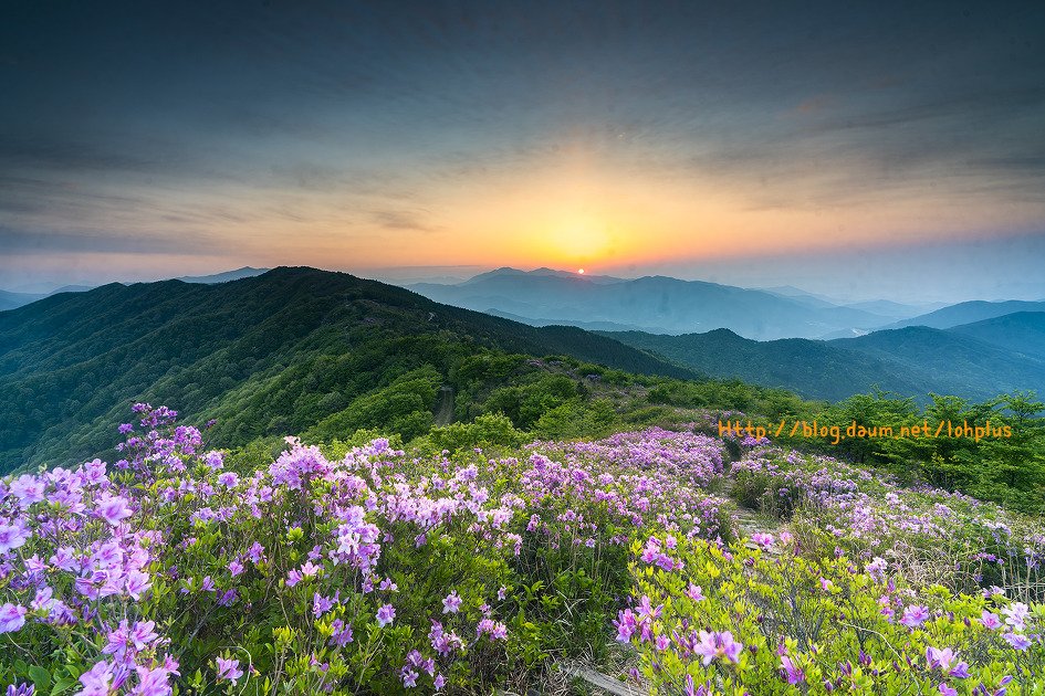 _DSC5340-1.jpg : 봉화산 백패킹