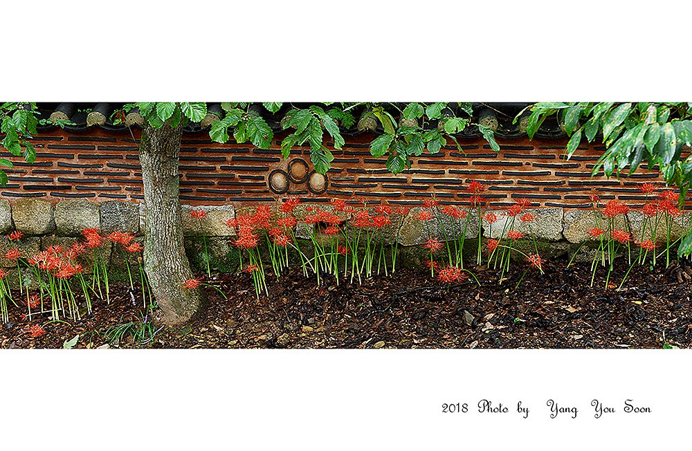 DSC_5893-r-s.jpg : 정모숙제