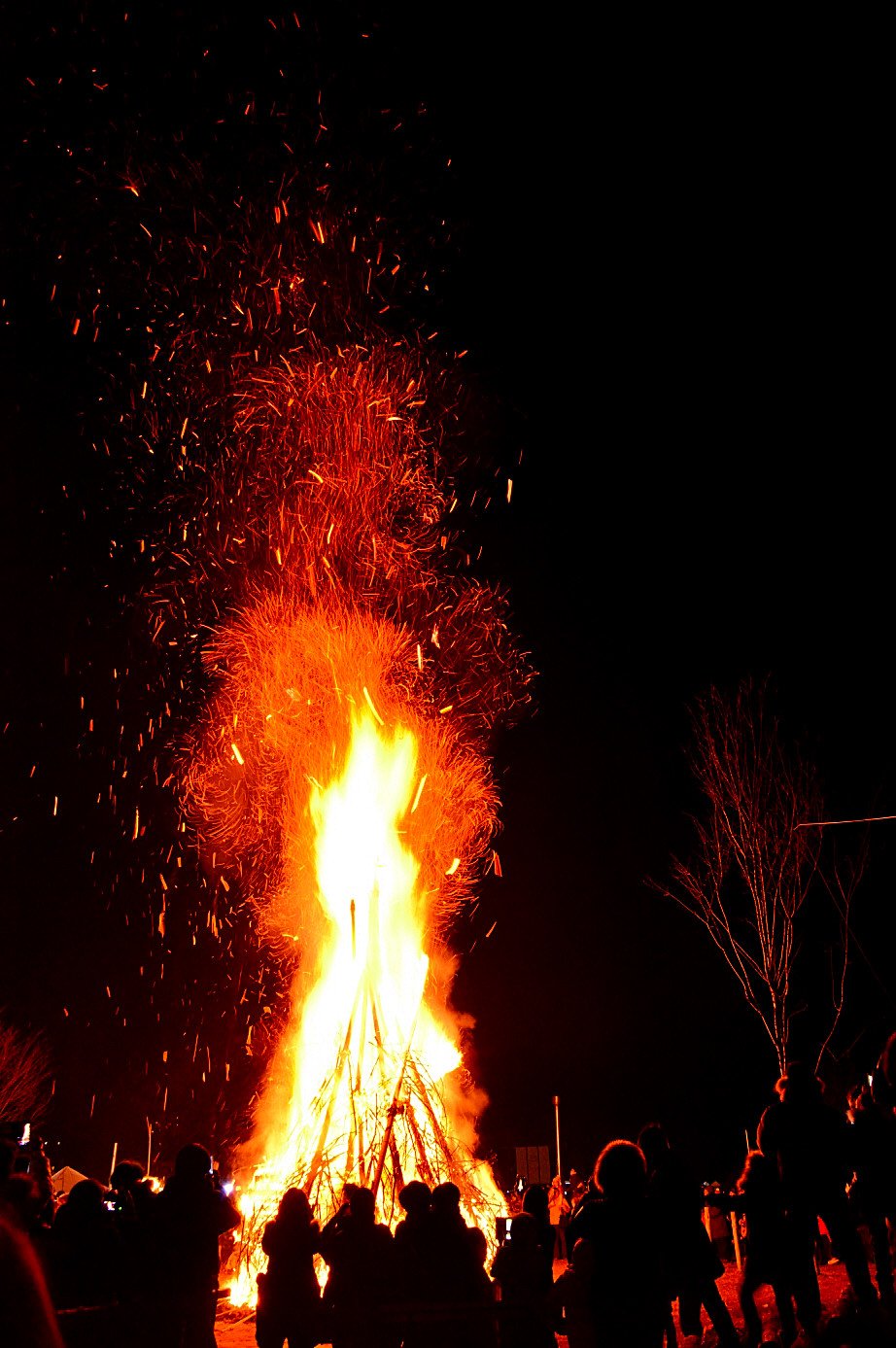 DSC_1648.JPG : 달집태우기