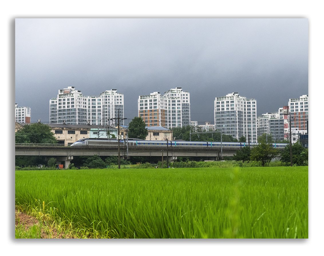 DSC_4630 @.jpg : 기차가 있는 풍경