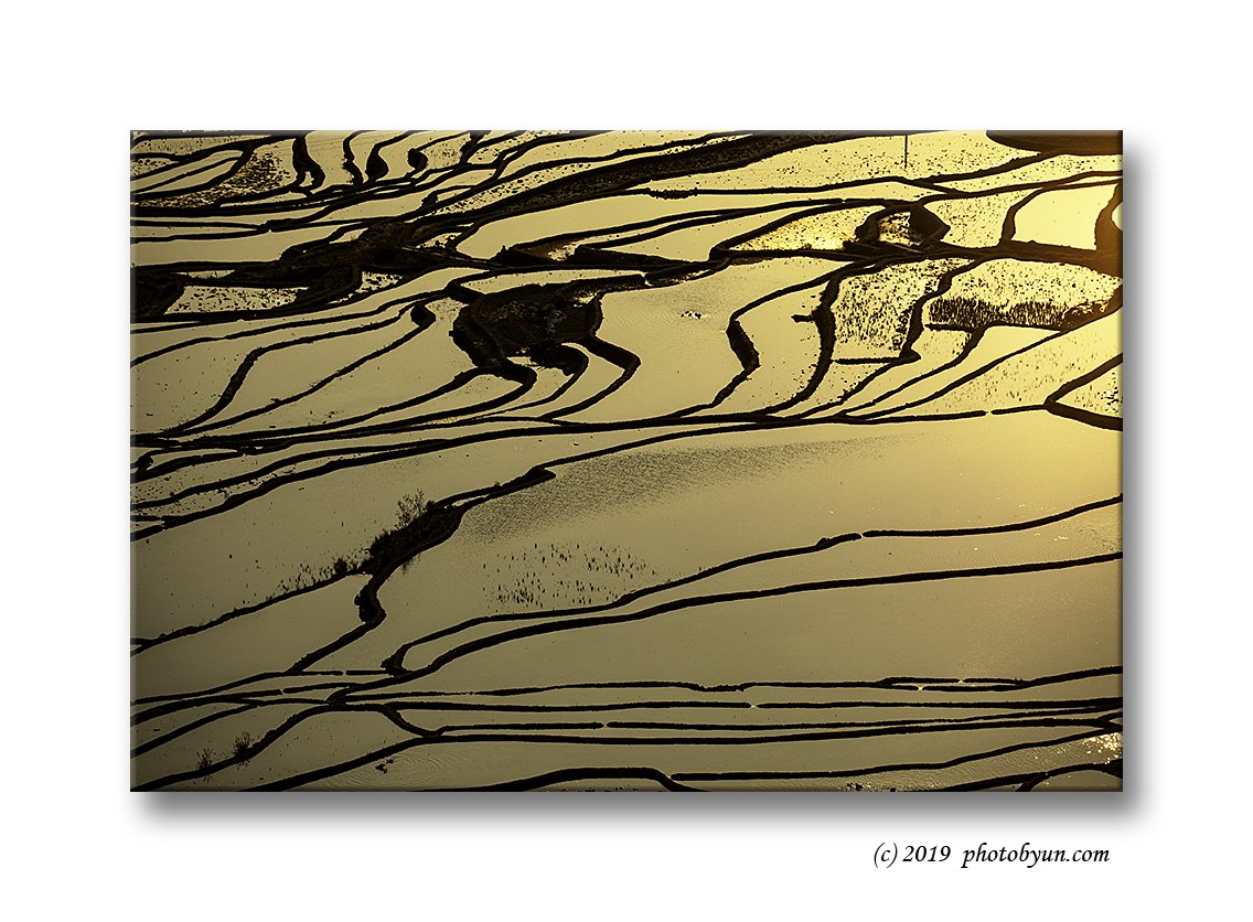 649A1406-편집.jpg : 원양제전