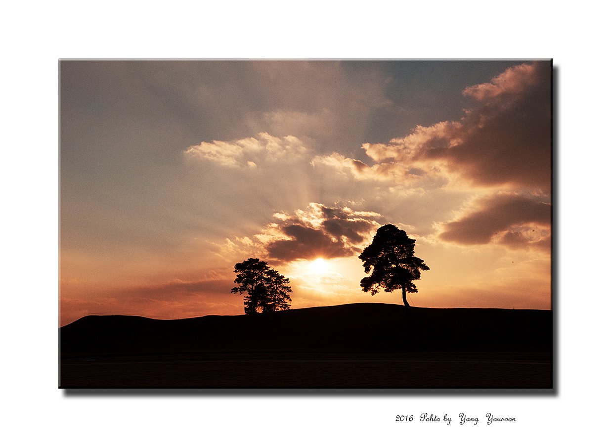 DSC_5131-1-r.jpg : 정북토성 일몰 DSC_5131-1-r.jpg : 정북토성 일몰