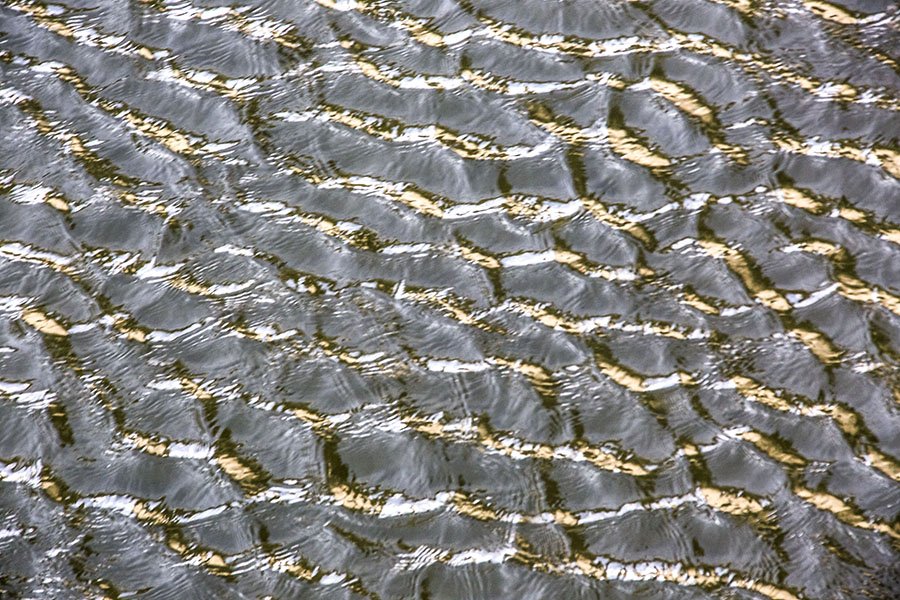 HVxx9A2833.jpg : 바람의노래